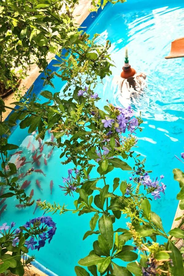 Casa Jazmin Hotel Orgiva Luaran gambar